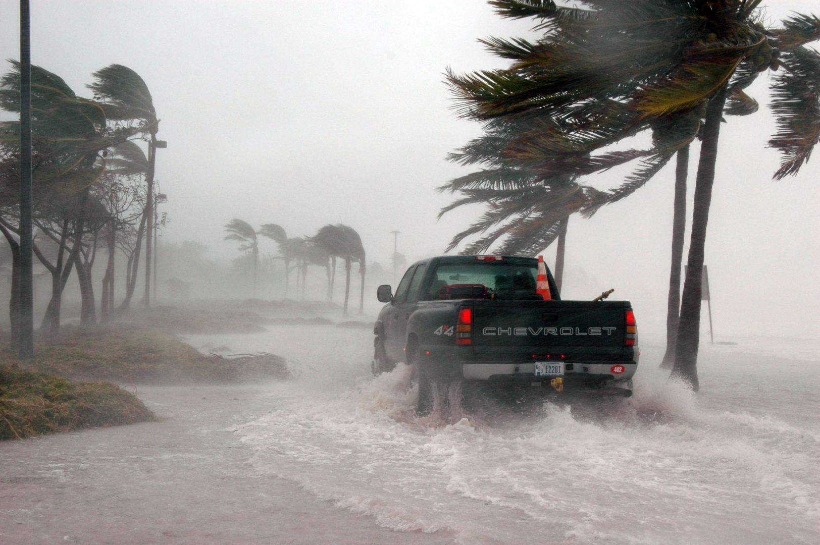 Florida hurricane scene with truck and flooded palm trees.